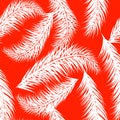 White vector palm treeson the coral background. Hand drawn seamless pattern. Summer tropical palm tree leaves seamless Royalty Free Stock Photo