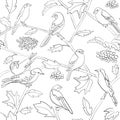White vector seamless pattern with black silhouettes of birds and branches Royalty Free Stock Photo