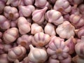 Fresh vegetable background garlic raw ingredient cooking healthy market nature food organic Royalty Free Stock Photo