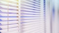 White Venetian blinds with sunlight