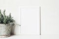 White vertical blank wooden frame mockup with rosemary herb in old metal flower pot on the table. Rustic summer poster