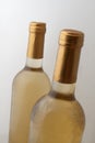 White vine bottles Royalty Free Stock Photo