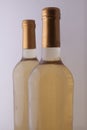 White vine bottles Royalty Free Stock Photo