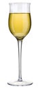 White vine glass Royalty Free Stock Photo