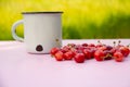 White vintage White metal vintage shabby mug with cherry berries on blurred light green background