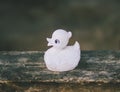 White vintage toy duck on wooden bench