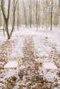 White vintage wedding chair in the autumn forest Royalty Free Stock Photo