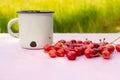 White vintage White metal vintage shabby mug with cherry berries on blurred light green background