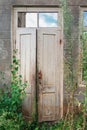 White vintage wooden door on abandoned wrecked house overgrown with ivy and plants Royalty Free Stock Photo