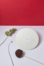 White vinyl audio record and dry branches on a double white red background with copy space. Flat lay Royalty Free Stock Photo