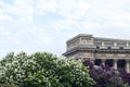 White, violet and purple branches of lilac in a spring park. Lilac bushes in bloom. Garden flowers.