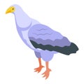 White vulture icon isometric vector. Evil bird