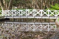 White walkway bridge over the lotus pond with its shadow on the water in close-up with the forest at the background at Sydney.