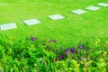 White walkway sheet in the garden, green grass with cement path Contrasting with the bright green lawns and shrubs