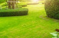 White walkway sheet in the garden, green grass with cement path Contrasting with the bright green lawns and shrubs, shadows, trees