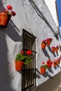 Andalusian house wall adorned with flowers Royalty Free Stock Photo