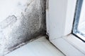 White wall with black mold. Dangerous fungus that needs to be destroyed. Black mold buildup. The problem of ventilation Royalty Free Stock Photo