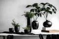 White wall and a black tabletop with a black vase and plant on it