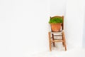 White wall and chair with flower.