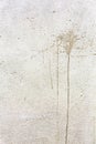 White wall with dry spilled dark Royalty Free Stock Photo