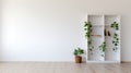 Minimalist White Bookcase With Plants: A Perfect Blend Of Style And Environmental Awareness