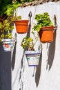 White wall with hanging pots of green plants and flowers of different colors. Blurry mood Royalty Free Stock Photo