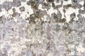 White wall and Mildewed walls Royalty Free Stock Photo