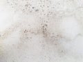 White wall with mold and fungus problem. Moisture problem