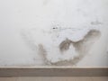White wall with mold and fungus problem. Moisture problem