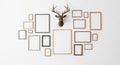 A collection of empty picture frames of various sizes and styles arranged on a white wall with a mounted deer head Royalty Free Stock Photo