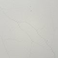 White wall with thin, irregular cracks forming a network pattern. The surface has a Royalty Free Stock Photo