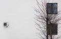 white wall, two windows, tree and air conditioner