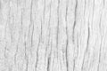 white wood wall texture old vintage using classical background or use it in design and decorative. Royalty Free Stock Photo