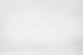 White walls crack texture/ White concrete wall surface crack. Royalty Free Stock Photo