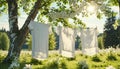 White washed laundry hangs on a line in the beautiful nature in the summer sunshine Royalty Free Stock Photo