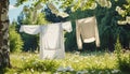 White washed laundry hangs on a line in the beautiful nature in the summer sunshine Royalty Free Stock Photo