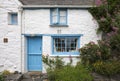 White-washed, stone cottage surrounded by Red Valerian, Cadgwith, Cornwall, England