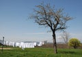 White Washing on Clothes Line Royalty Free Stock Photo