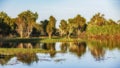 White water Billabong, Kakdu National Park, Australia Royalty Free Stock Photo