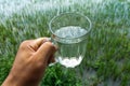 White water in a glass with rice fields in the background Royalty Free Stock Photo