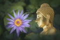 White water lily flower with yellow Stamens in bloom and close up surrounded by big green leaves floating on water. Face of Buddha Royalty Free Stock Photo