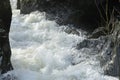 White Water on the Marteg River Royalty Free Stock Photo