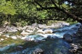 White water rushing over rocks in a rainforest