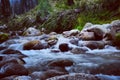 White Water Stream In Kashmir Royalty Free Stock Photo