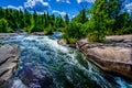 White water wilderness river and forest background.