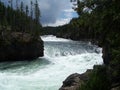 White Water of Yellowstone National Park