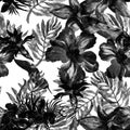 White Watercolor Decor. Black Flower Leaves. Seamless Set. Pattern Textile. Tropical Leaves. Isolated Palm. Fashion Backdrop. Bota Royalty Free Stock Photo