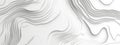 White wave paper curved reliefs abstract background with lines pattern, abstract topographic contour map with geometric