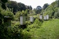 White WBC Beehives in a rural cornish location.