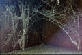 White web on a black brown background, scary frames made of cobwebs. High quality stock photo image featuring a real creepy spider